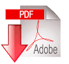 Descargar en pdf